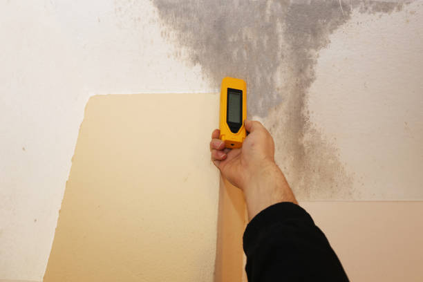 Best Biohazard Mold Removal  in Goodland, IN