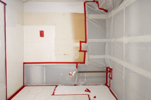 Asbestos and Lead Testing During Mold Inspection in Goodland, IN