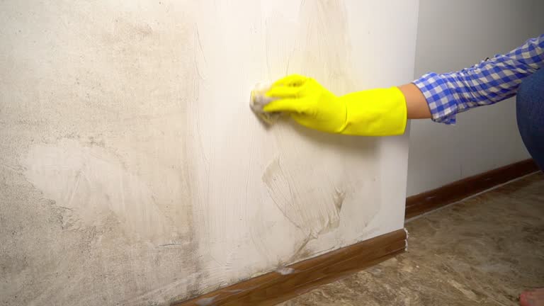 Best Real Estate Mold Inspection  in Goodland, IN