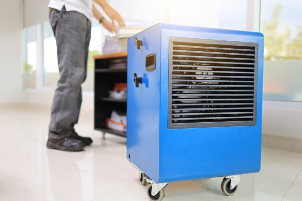 Best Mold Damage Restoration  in Goodland, IN