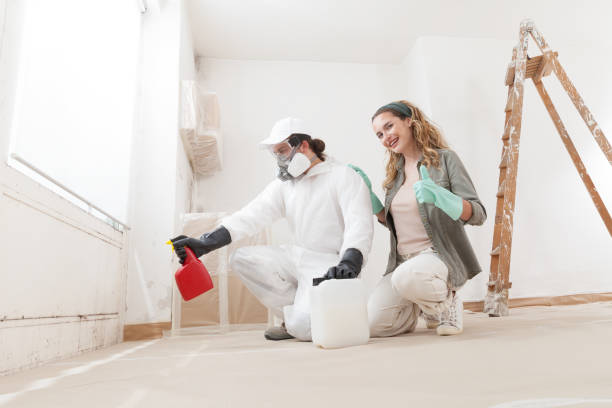 Trusted Goodland, IN Mold Removal Experts