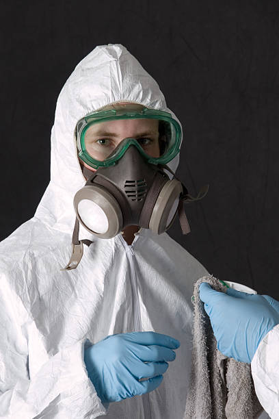 Best Mold Removal for HVAC Installations  in Goodland, IN